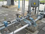 Banatski dvor slika37